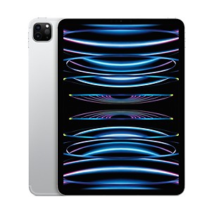Apple 11-inch iPad Pro M2 Wi-Fi + Cellular 128GB - Silver