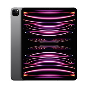 Apple 12.9-inch iPad Pro M2 Wi-Fi + Cellular 1TB - Space Gray