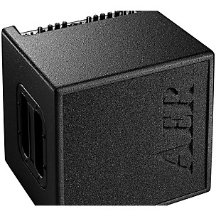 AER 200W Two-Channel Acoustic Combo Amp with 2-Way Speaker System