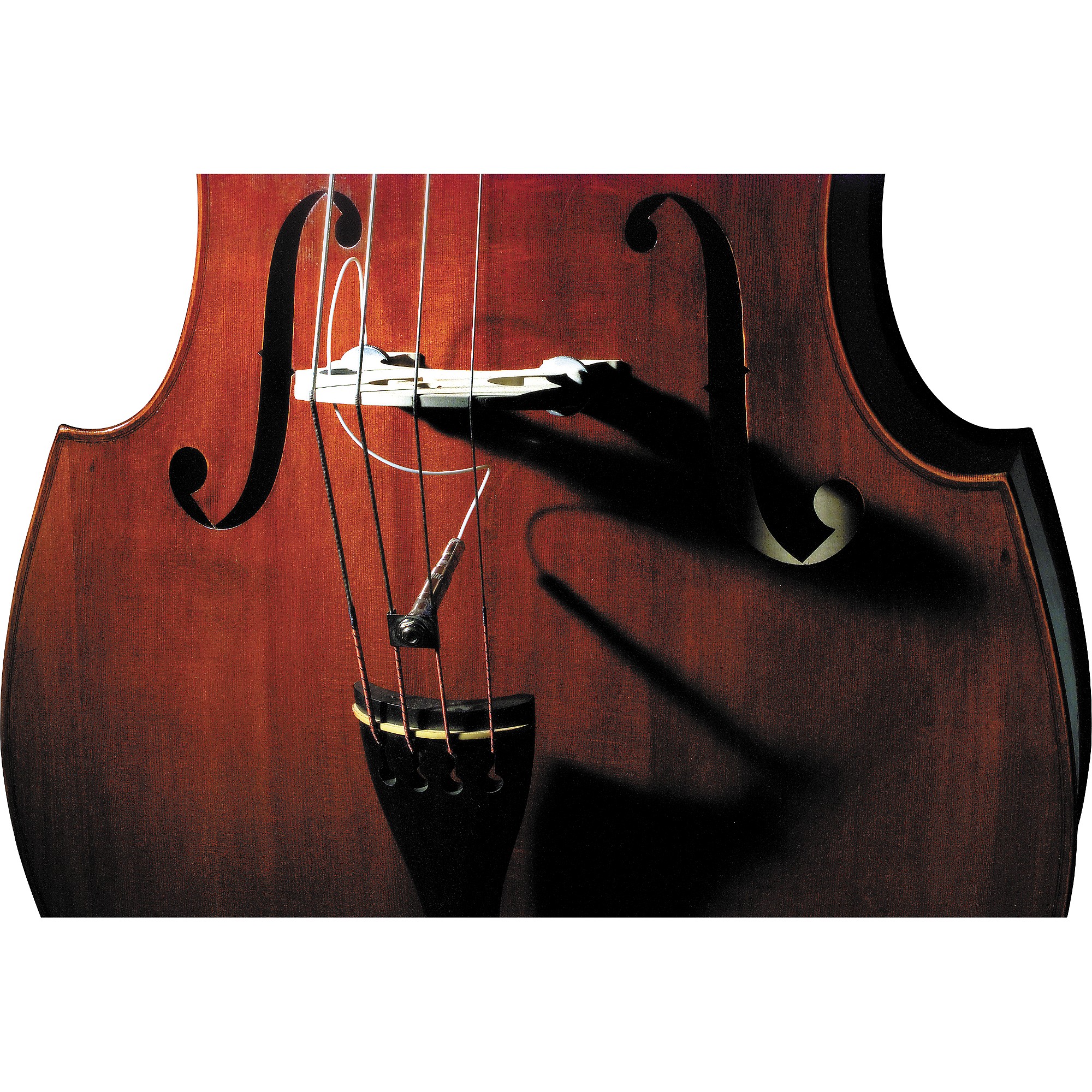 Fishman Full Circle Double Bass Pickup | Music & Arts