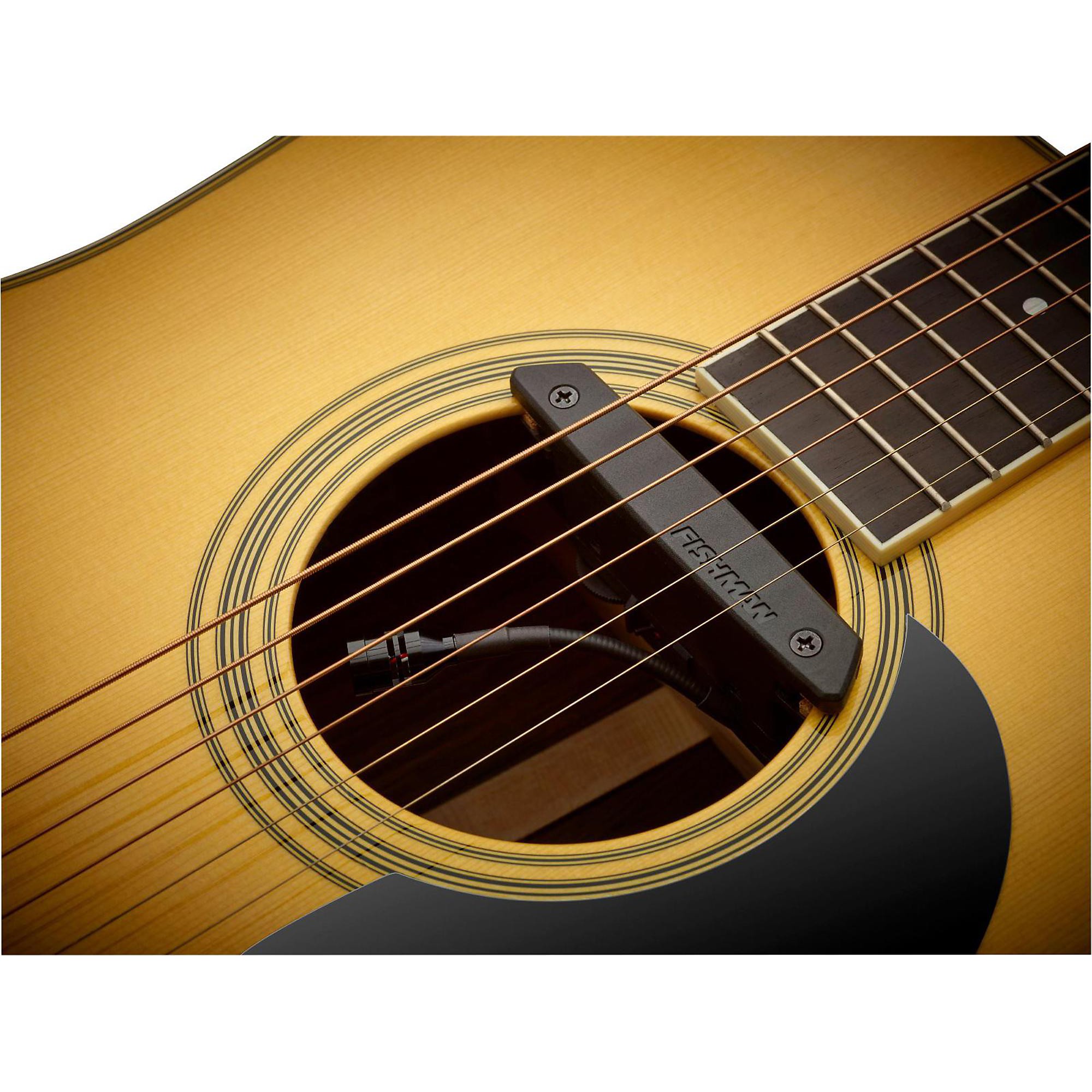 FISHMAN RARE EARTH アコースティックギター用 Fishman Rare Earth Mic Blend Soundhole Pickup | Music & Arts