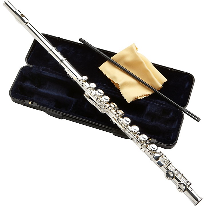 Flute instrument deals for beginners