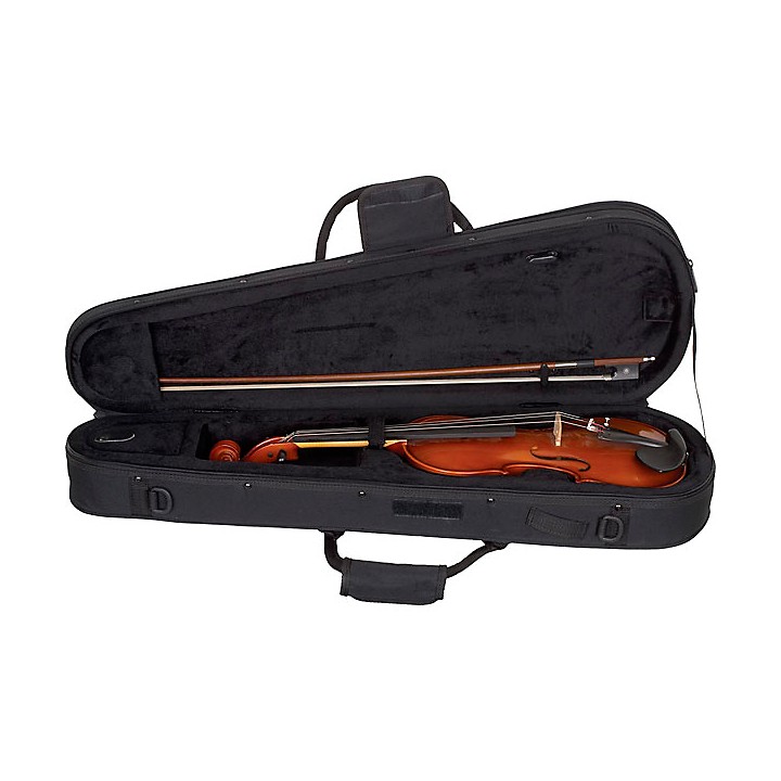 Products June 2020: Violin case | Article | The Strad