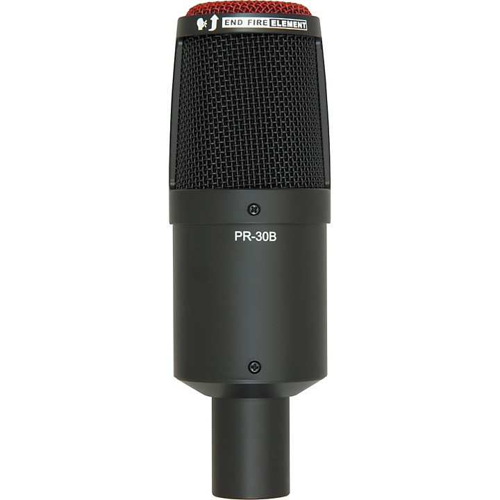 Heil Sound PR 30B Large-Diaphragm Dynamic Microphone | Music & Arts