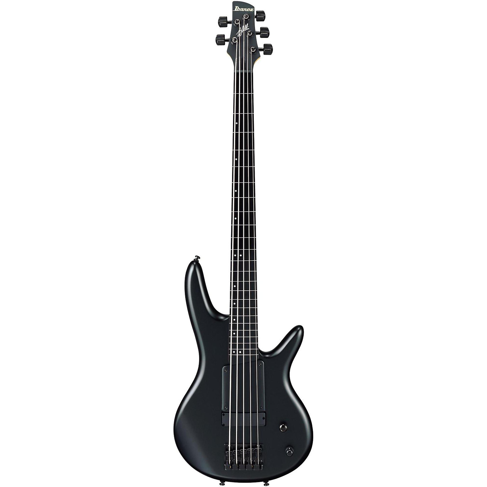 Ibanez GWB35 Gary Willis Signature Fretless 5-String Bass | Music