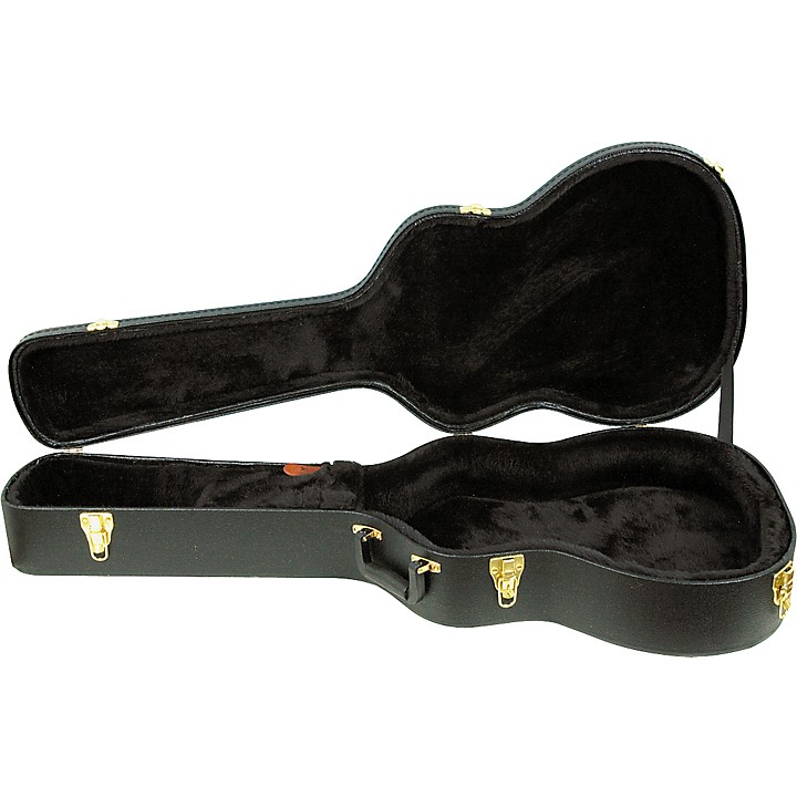 Ibanez 2024 hardshell case