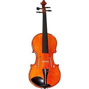 Meisel 6107A Series 4/4 Violin Outfit