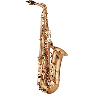 Yanagisawa A-901 Artist Alto Saxophone