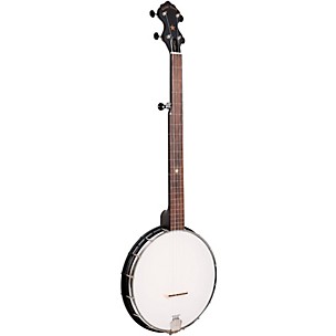 Gold Tone AC-1 Fretless 5-String Openback Banjo