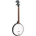 Gold Tone AC-4 Composite 4-String Openback Tenor Banjo | Music & Arts