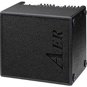 AER AER Domino 2 100W 2x8 Acoustic Guitar Combo Amp