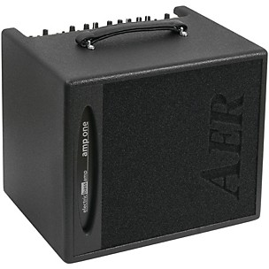 AER AER AMP-ONE 200W Bass 1x10 Combo Amp
