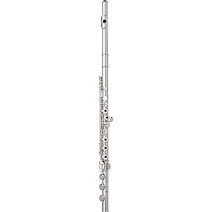 Wm. S Haynes Amadeus AF680 Professional Flute
