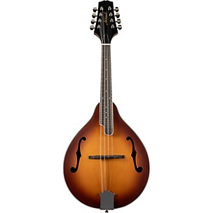 Mitchell AM100 A-Style Mandolin -