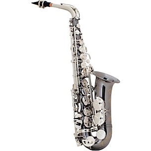 Selmer AS42 Professional Alto Saxophone