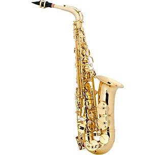 Selmer AS42 Professional Alto Saxophone