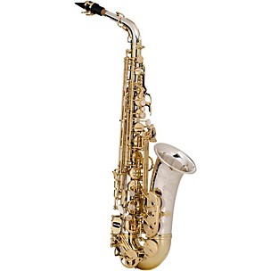 Yanagisawa Alto Saxophone