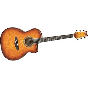 Ambiance Series A300E Acoustic-Electric Guitar