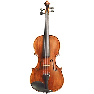 Stentor Arcadia Series Violin Outfit