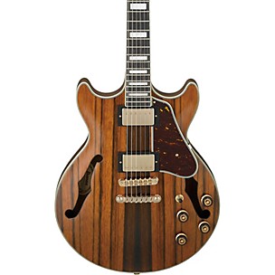 Ibanez Artcore Expressionist AM93ME Semi-Hollow Electric Guitar