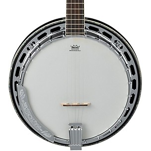 Ibanez B300 5-String Banjo with Rosewood Resonator