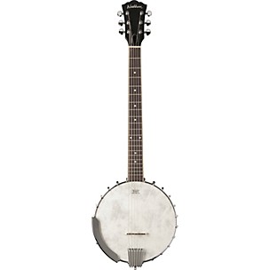 Washburn B6-A Americana Series 6-String Open-Back Banjo