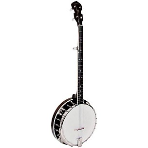 Gold Tone BG-250F Resonator Banjo