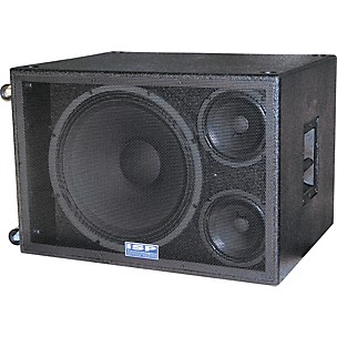 ISP Technologies Bass Vector Active Cabinet