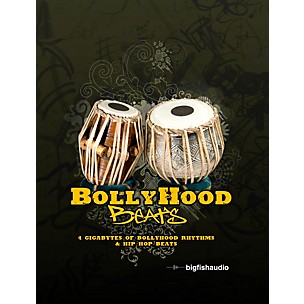 Big Fish Bollyhood Beats Sample Library
