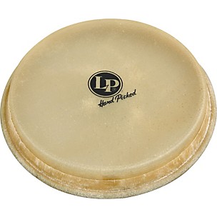 LP Bongo Head