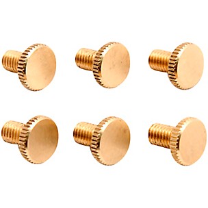 Floyd Rose Brass Fine Tuning Screws (6)