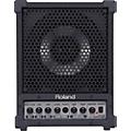 Roland CM-30 Cube Monitor | Music & Arts