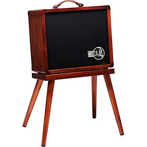 Taylor Circa 74 AV150-10 Amp with Stand