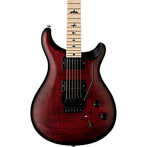 PRS DW CE24 24 Floyd Electric Guitar