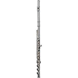 DI ZHAO DZ 401 Student Flute, Open Hole, Y-arms, All Silver Plated with Silver Lip and Riser