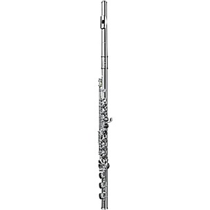 DI ZHAO DZ801 Professional Flute, Open Hole, Pointed Arms, Silver Headjoint and Body