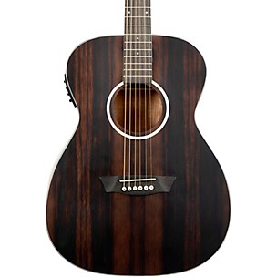 Washburn Deep Forest Ebony FE Acoustic-Electric Guitar