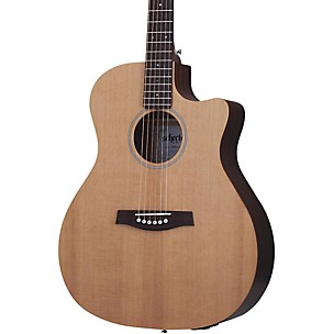 Schecter Guitar Research Deluxe Acoustic Guitar