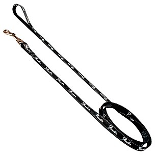 Fender Dog Leash