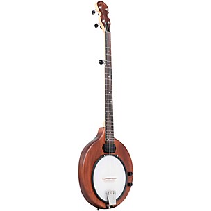 Gold Tone EB-5 Electric Banjo