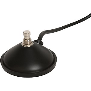 Epiphone Electar Century 12 Amplifier Footpedal