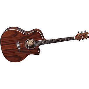 Exotica Andes Acoustic-Electric Guitar