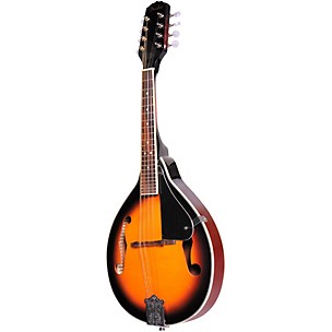 FM 100 Mandolin Pack Sunburst
