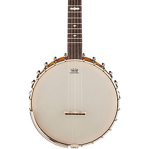 Gretsch Guitars G9455 Dixie Special Banjo