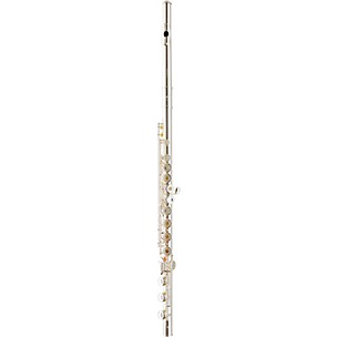 Giardinelli GFL-10 Series Flute by Haynes