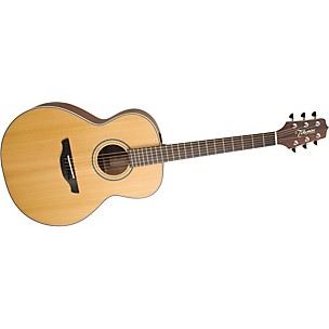 GS430S G NEX Acoustic Guitar