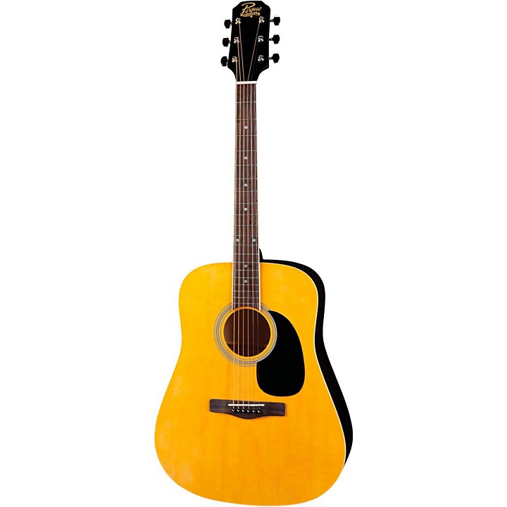 Rogue shop dreadnought guitar