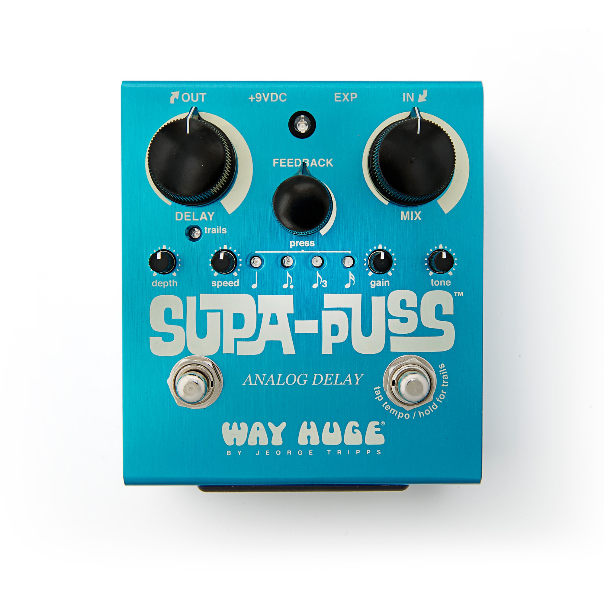 Way Huge Electronics Supa Puss Delay Pedal | Music & Arts