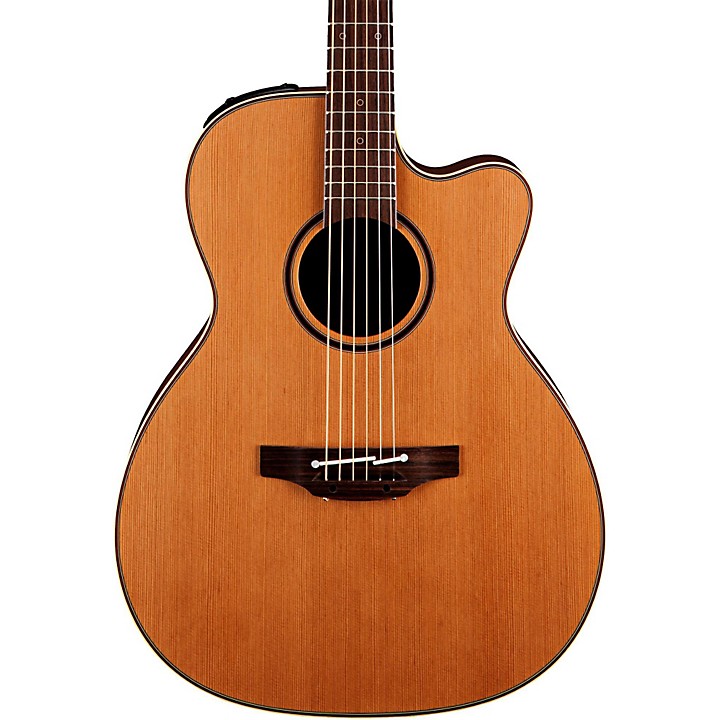 Takamine pro store