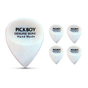 Pick Boy Hand-Made Bone Exotic Guitar Picks